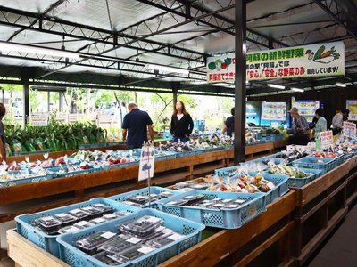 🛍️ 미치노에키 아소 관광안내소 및 농산물 직판장 이미지 2